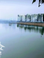 Bán Nhà Mặt Phố Vũ Miên, Vỉa Hè Kinh Doanh, View Hồ, Tây Hồ, Hà Nội. Giá Thỏa Thuận, 143M2.