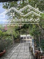 Nhà Cấp 4, 300M2 Full Thổ Cư. Mặt Tiền Đường 387, Tân An Hội