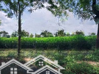 Chỉ 1 Tỷ 600 Triệu - Sở Hữu Ngay Lô Đất Sổ Riêng, Đường 17M, Gần Tuyến Đường Lớn Nguyễn Văn Cừ