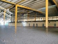 Cho Thuê Xưởng Khuôn Viên Đất 12.500M2.Giấy Tờ Đầy Đủ ,Tiếp Đa Ngành Nghề,Phước Hòa ,Phú Giáo,Bd