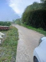 Chính Chủ Bán 219Mv Full Thổ Cư Mặt Tiền Đường Bê Tông Tại Xã Lương Hoà, Giá Bán 1Ty050. Liên Hệ: 0909805425