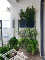 Bán Nhanh Căn Hộ 3 Ngủ Siêu Đẹp Imperia Garden Nhỉnh 8 Tỷ | 96M2 Đẳng Cấp Cho Cuộc Sống Thượng Lưu