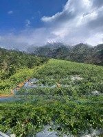 Bán Đất Quốc Lộ 20, Xuân Trường, Đà Lạt, 1,5 Tỷ, 2937 M2 . Đường Ô Tô