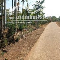 Bán Đất Vườn Thổ Cư 1147,9 M², Ea Nuôl, Buôn Đôn, Đắk Lắk