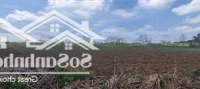 Bán 16000M2 Tại Đường 20, Xã Hưng Thịnh, Trảng Bom, Đồng Nai - Giá Cực Chất Hàng Hiếm