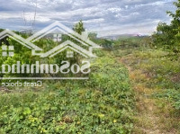 160 Triệu Mua Được Lô Đất Vườn Tại Xuân Đồng, Cách Dân Chỉ 700M