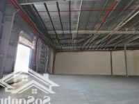 Cho Thuê 3500 M², 7000M², 15.000 M² Xưởng Mới Trong Kcn Bàu Bàng Bình Dương ,S.xuất Đa Nghành Nghề