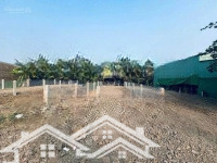 Bán Gấp-Giá Rẻ Hơn Khu Vực-Chính Chủ!Hóc Môn, 100M2/ 550 Triệu,Gần Chợ Hóc Môn.