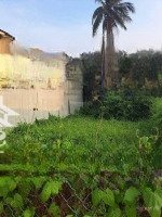 Cần Bán Lômặt Tiềnđường Nguyễn Văn Trung, P Phú Khương, Bt Vớidiện Tích130M2 Cách Trung Tâm Tp 10P Chạy Xe
