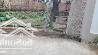 Xuân Nộn Đất Sổ Đỏ Phân Lô Ngõ Thông Ô Tô Vuông Đẹp. 99M.mặt Tiền4.5M. Chào 5.98 Tỷ.