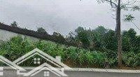 Quá Rẻ! Chỉ Với 2, 5 Triệu/1M2 Vớidiện Tích1.400M2, 20M Mặt Đường Nhựa Trục Chính Minh Quang, Ba Vì, Hà Nội