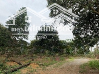 Chính Chủ Cần Bán Lô Đất Nghỉ Dưỡng Rộng Gần 1020M2 Tại Nhuận Trạch, Lương Sơn, Hòa Bình