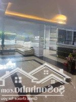 Bán Gấp Tòa Văn Phòng Siêu Víp Nguyễn Hoàng, 266M2 X 8 Tầng Mặt Tiền 11M Ô Tô Tránh Gpxd, Pccc