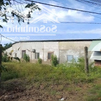 Chủ Bán Nhanh Lô 120M2 Full T/C Giá Bán 450 Triệu.shr,Không Tranh Chấp,Không Quy Hoạch,Gần Chợ Đầu Mối Ts