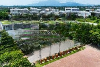 Lô Góc 294 M Mặt Tiền Hơn 10M Full Thổ Cư . Nằm Trong Trục Chính Kinh Doanh.