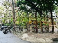 Cho Thuê Nhà Mặt Phố Đào Duy Anh, 80 Triệu, 1000M2, Hàng Hiếm Tại Đống Đa, Hà Nội