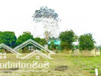 1031M2 Giá Rẻ Gần Cụm Khu Công Nghiệp Đà Bắc, Đường Thông Tứ Phía, Khu Vực Tiềm Năng
