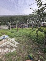 Chính Chủ Bán Mảnh Đất, 86M2, Thôn Đền, Lâm Động, Thuỷ Nguyên. 1,25 Tỷ