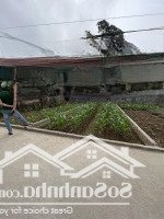 Bán 64M2 Đất Siêu Đẹp Quất Động, Ql1A Ô Tô Đỗ Cửa