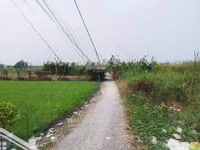 Bán Đất Tặng Nhà 2 Mặt Tiền Rạch Nhà Vuông, Bình Mỹ, Củ Chi Diện Tích 1455M2 Có Sẵn 368M2 Thổ Cư