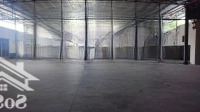 Cho Thuê Kho Xưởng 1.600M2 Đường Số 26 Tân Thông Hội Củ Chi