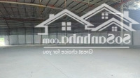 Cho Thuê Kho Xưởng 1.600M2 Đường Số 26 Tân Thông Hội Củ Chi