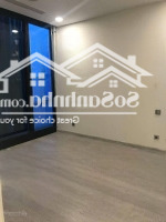 Cho Thuê Căn Hộ Vinhomes Golden River Ba Son, 19 Triệu, 50M2, Q1, Hcm Giá Siêu Hời