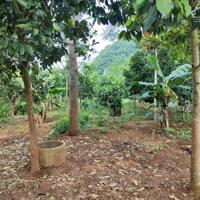  cắt lỗ chỉ 3xx tr có ngay  219m full thổ cư tại Yên Thuỷ gần hồ  - Bám đường to rộng, oto thông vào tận đất