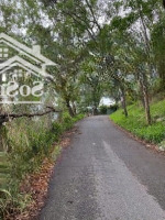 Bán Lô Đất Đẹp Góc 2 Mặt Tiền Đường Trần Phú 3627M2 View Trực Diện Biển Giá 60 Triệu/M2