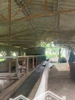 Chính Chủ Bán Đất Trang Trại View Hồ Suối Hai Hàng Hiếm