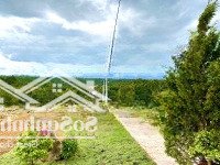 Kẹt Quá Kẹt Bán Lỗ Sâu Lô Đất 950 Triệu Còn 520 Triệu Tại Lộc An, Bảo Lâm