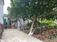 Bán Đất Tại Thị Trấn Chúc Sơn, 66,1 M2, Mặt Tiền 5M, Ngõ Rộng 3,5M