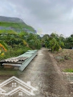 Lô Đất Tổ 9 Hoà Nghĩa - Dương Kinh