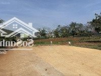 Bán Đất Nền Gần 400M2 Tại Thị Trấn Nam Ban, Lâm Hà, Lâm Đồng, Giá Tốt 749 Triệu Vnd