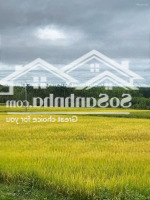 Bán 450M2 Đất Trồng Lúa Sổ Hồng, Sát Làng Mê Hòa Bắc.