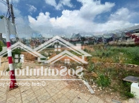 Đất Mặt Tiền Đường Chính Đà Lạt Kinh Doanh Đa Ngành 286M2 Đất Xây Dựng Giá Bán 13,2 Tỷ