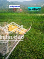 Bán 3 Lô Đất Vườn Khánh Đông Hơn 1000M2 Chỉ Từ 2Xx Triệu