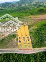 Bán 3 Lô Đất Vườn Khánh Đông Hơn 1000M2 Chỉ Từ 2Xx Triệu