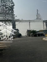 Bán 1 Cặp Đường Số 8 Kdc Tân Đô, 10X 26M, Giá Chốt 4 Tỷ 200 Triệu