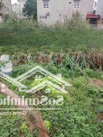 Bán Đất Phúc Lợi Ô Tô, Gần Các Trường Cấp 1,2 Lê Quý Đôn, Mầm Non Ban Mai Xanh, Tiện Ích Ngập Tràn