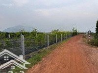 Bán Nhanh Lô Đất View Núi 1000M2 Tại Suối Đá, Dmc, Giá Chỉ 399 Triệu. Có Shr