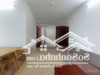 Cho Thuê Căn Hộ View Biển 2 Pn, Cách Bãi Tắm 150M Đi Bộ, Chung Cư 145 Phan Chu Trinh, 6,5 Triệu