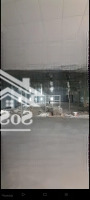 Xưởng Cho Thuê Xuân Thới Sơn, Hóc Môndiện Tích1000M2 Giá Cho Thuê 60 Triệu/Tháng Tl