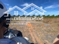 Bán 1000M2 Đất Trồng Cây Lâu Năm Gần Sân Bay Phan Thiết, Giá Chỉ 750 Triệu