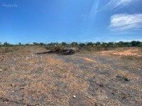Bán 1000M2 Đất Trồng Cây Lâu Năm Gần Sân Bay Phan Thiết, Giá Chỉ 750 Triệu