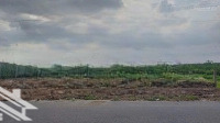 45 Tỷ 1243,8M2 Ngang 21,5M Thổ Cư, Mặt Tiền Nguyễn Văn Tạo. Làm Kho Bãi, Đầu Tư, Nhà Vườn