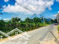 Bán Đất Mặt Đường (20M) Ngay Đường Hương Lộ 39, Trung Tâm Huyện Diên Khánh - Giá Cắt Lỗ