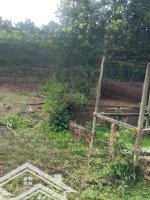 Chính Chủ Bán Lô Đất Ấp 3, Xã Thừa Đức, Cẩm Mỹ, Đồng Nai
