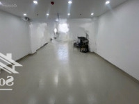 Cho Thuê Mbkd Mới 100% Số 71 Bạch Đằng, Phường 15, Quận Bình Thạnh