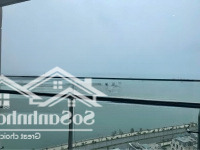 Chính Chủ Cần Bán Cắt Lỗ Căn Studios 37M2 View Biển Chung Cư The Sapphire S2, Bến Đoan, Hạ Long